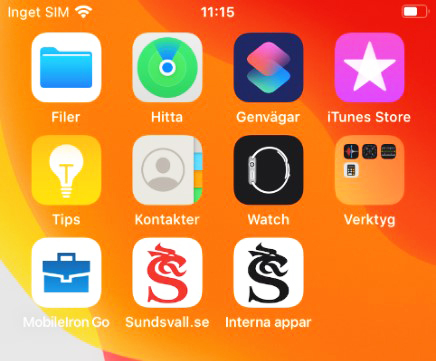 Skärmdump från iPad visar interna appar.