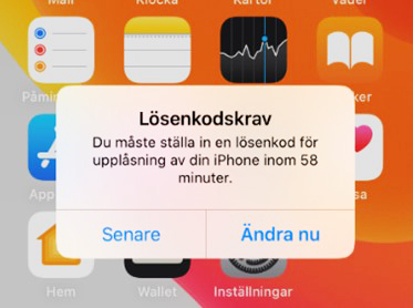 Skärmdump från iPad visar lösenordskrav.