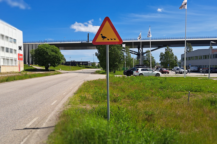En vägskylt som visar änder vid sidan av vägen.