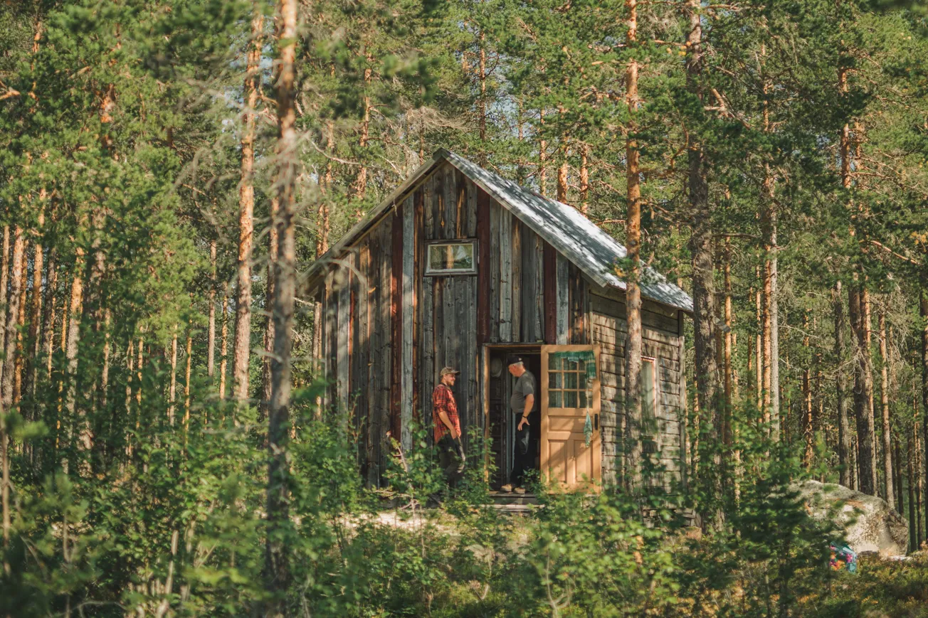 En stuga i skogen omgiven av höga träd.