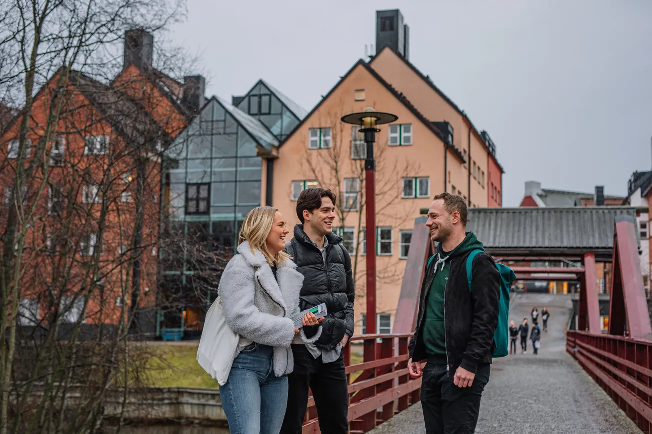 En grupp människor som går över en bro.