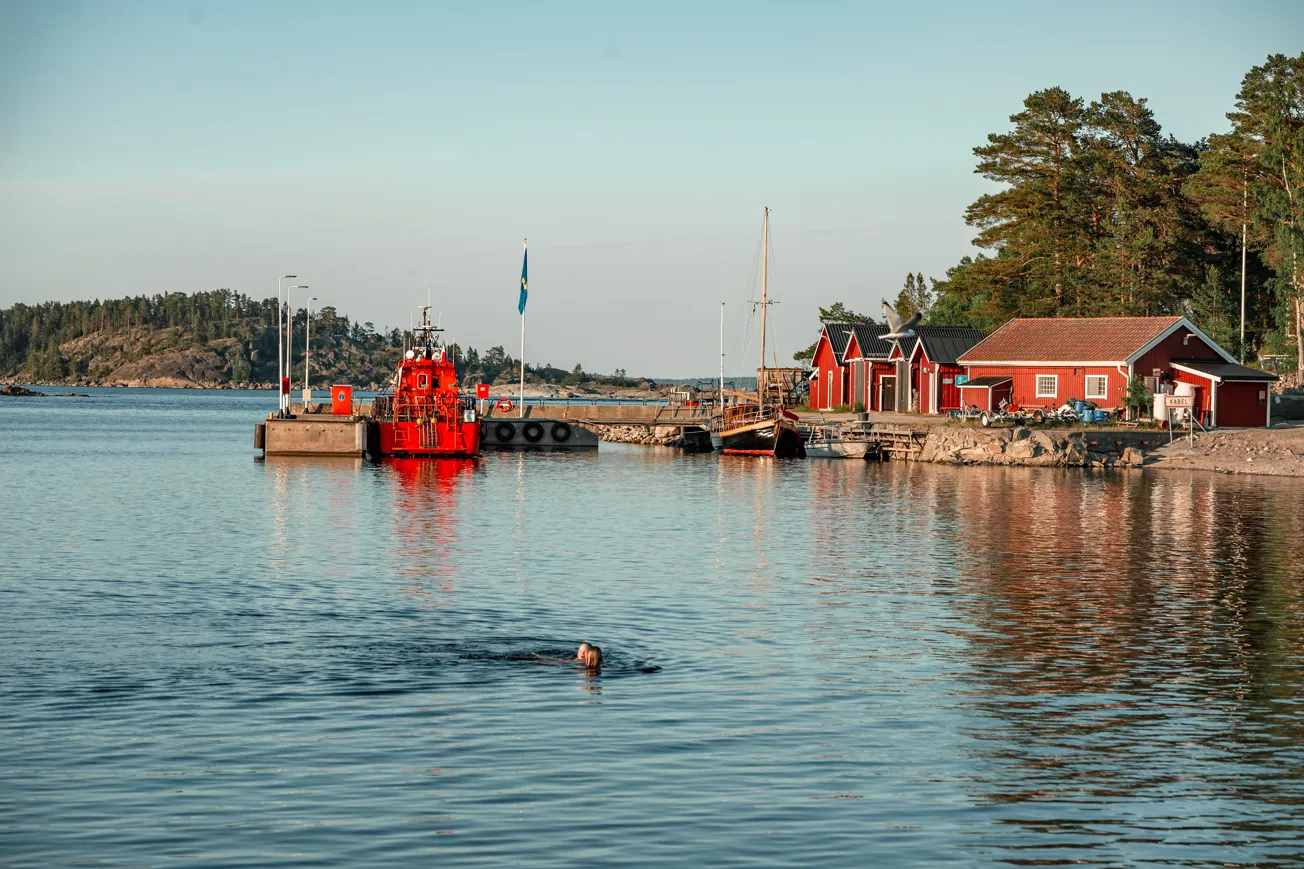 En person som simmar i ett vattendrag.