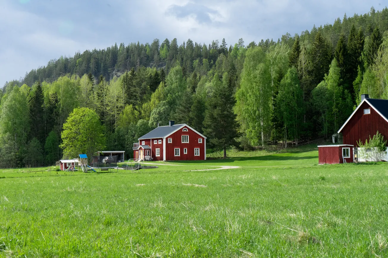 Två röda lador på ett grönt fält med träd i bakgrunden.