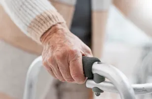 En person som håller i handtaget på en rullator. Foto: Adobe Stock