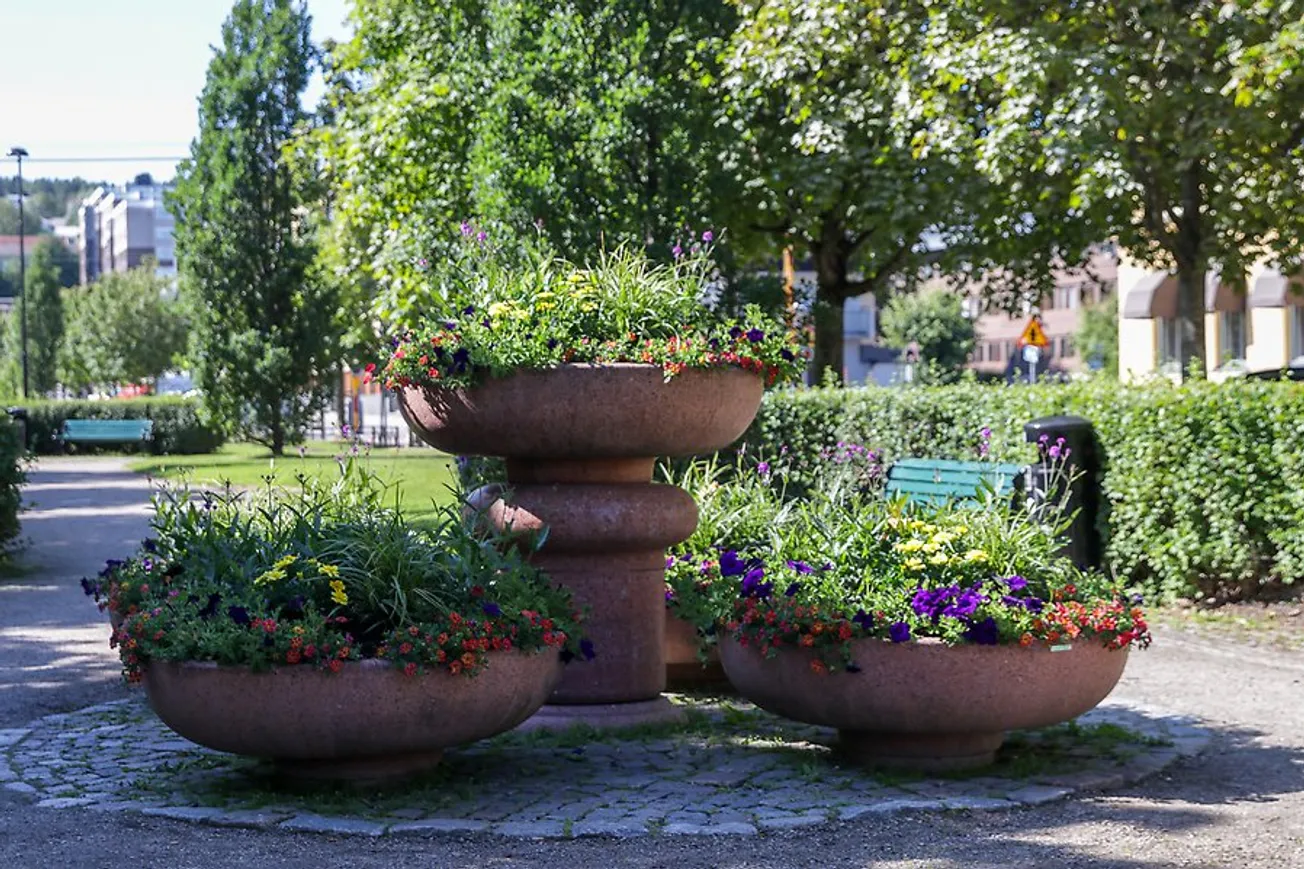 Blomsterplanteringar längs Esplanaden.sommartid.