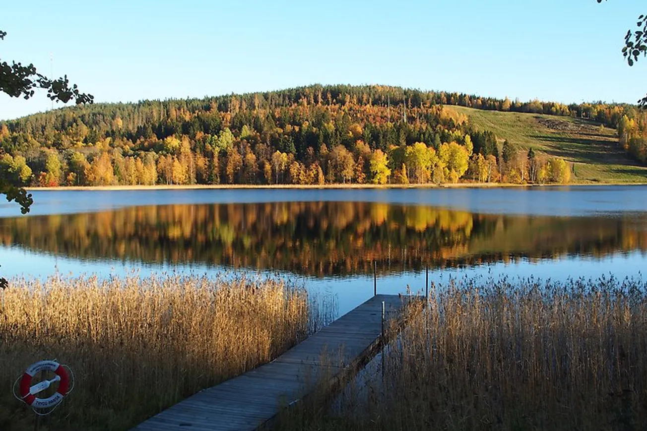 Sidsjöns friluftsområde med sjön omgivet av högt gräs och träd. En brygga i förgrunden.