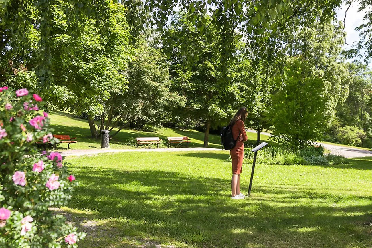 En kvinna med ryggsäck läser på en skylt i Tivoliparken.