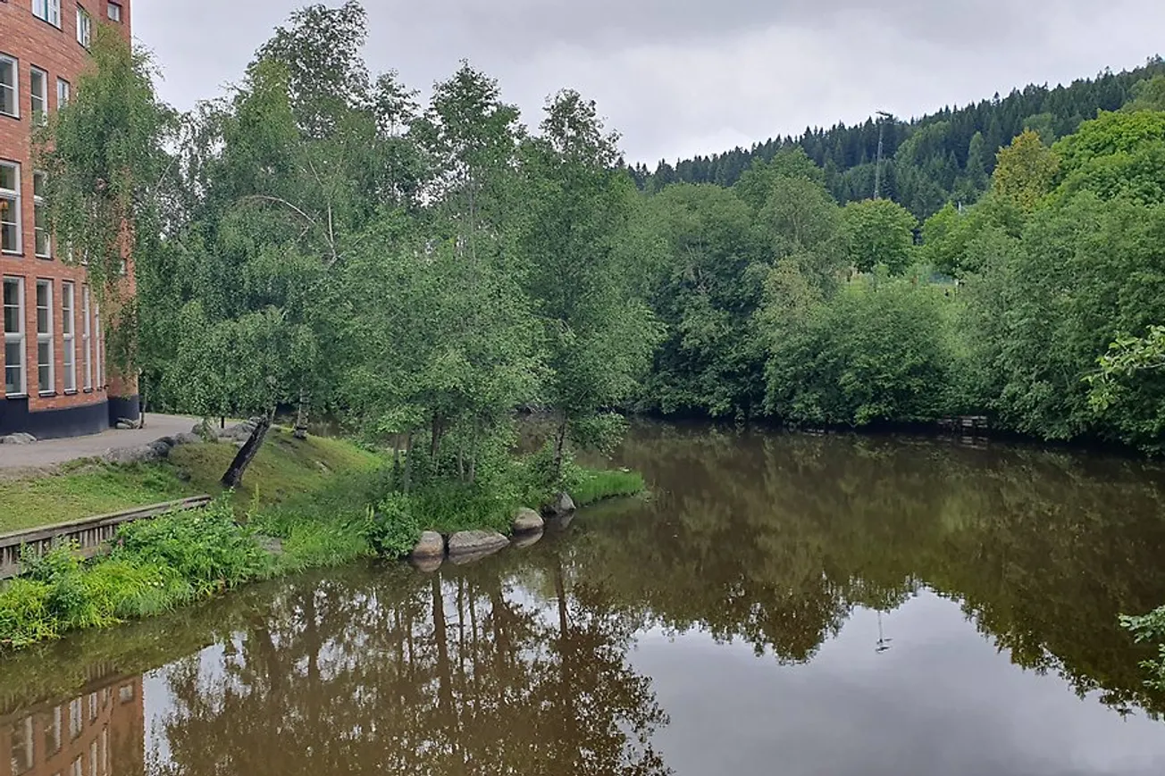 Selångersån rinner genom en grönskande skog vid Mittuniversitetet.