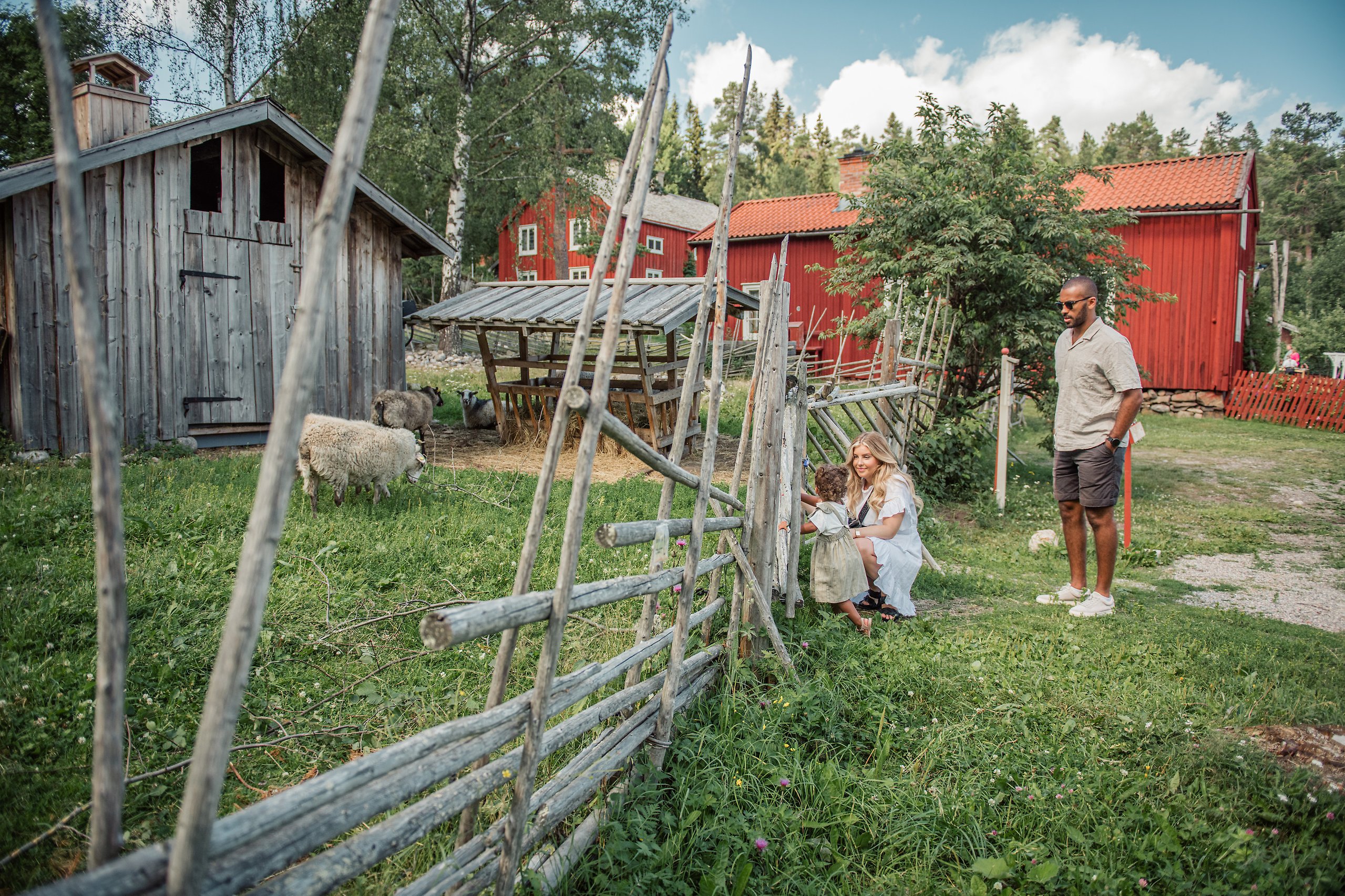 En kvinna och en man står och tittar på får tillsammans med ett barn. Marken är grön och i bakgrunden syns stora röda hus.