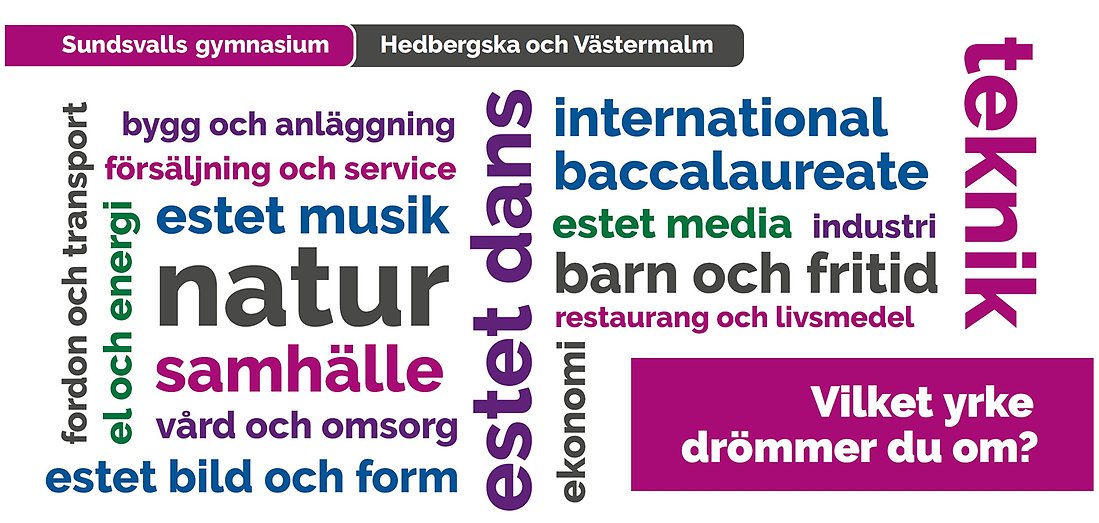 Program vid Hedbergska och Västermalm